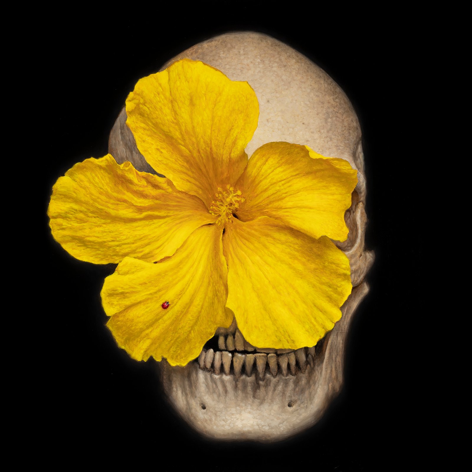 Skullflower II